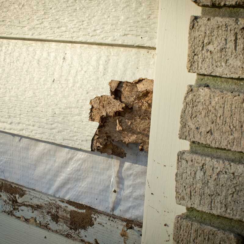 Quality Siding Installation Service in Smyrna, TN - Perez Construction (5)